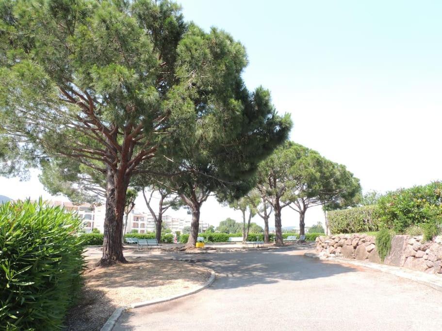 Ginkgo Studio - Piscine, Proche De La Mer, Golf, Wifi Mandelieu Exteriér fotografie