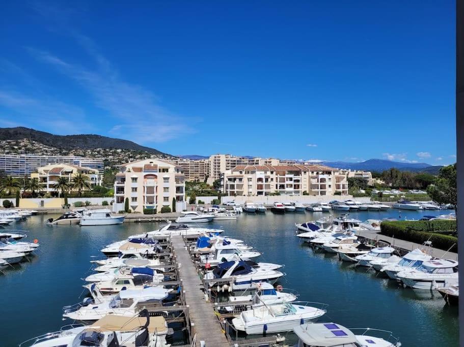 Ginkgo Studio - Piscine, Proche De La Mer, Golf, Wifi Mandelieu Exteriér fotografie